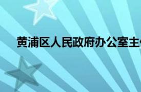 黄浦区人民政府办公室主任（黄浦区人民政府办公室）