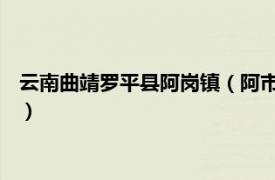 云南曲靖罗平县阿岗镇（阿市村 云南曲靖市罗平县马街镇下辖村）