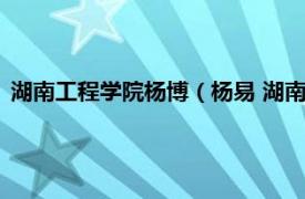 湖南工程学院杨博（杨易 湖南大学机械与运载工程学院副教授）