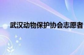 武汉动物保护协会志愿者（江汉大学小动物保护协会）