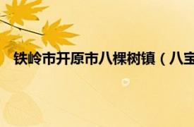 铁岭市开原市八棵树镇（八宝镇 辽宁省铁岭市开原市下辖镇）