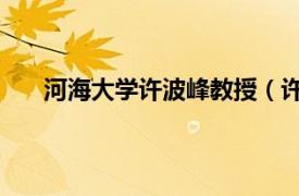 河海大学许波峰教授（许峰 河海大学副校长、教授）