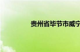 贵州省毕节市威宁县金钟镇有多少人口