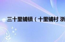 三十里铺镇（十里铺村 浙江省开化县城关镇十里铺村）