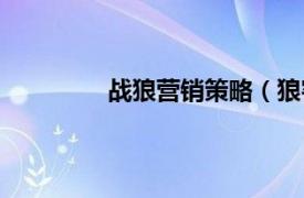 战狼营销策略（狼客网络营销成功法则）