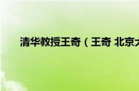 清华教授王奇（王奇 北京大学环境科学与工程学院教授）