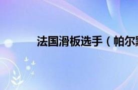 法国滑板选手（帕尔默 澳大利亚滑板运动员）