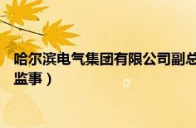 哈尔滨电气集团有限公司副总经理（张文明 哈尔滨电气职工代表监事）