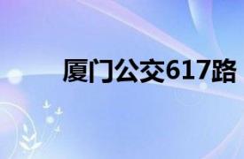 厦门公交617路（厦门公交605路）