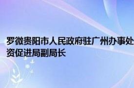 罗微贵阳市人民政府驻广州办事处、市政府驻深圳办事处副主任、广州市投资促进局副局长