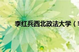 李红兵西北政法大学（李红梅 陕西政法学院教授）