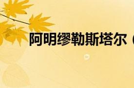 阿明缪勒斯塔尔（阿明缪勒-斯塔尔）