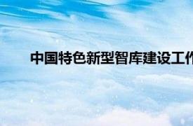 中国特色新型智库建设工作座谈会（中国特色新型智库）