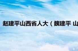 赵建平山西省人大（魏建平 山西省第十三届人民代表大会代表）