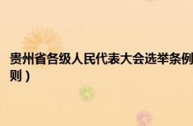 贵州省各级人民代表大会选举条例（贵州省人民代表大会常务委员会议事规则）