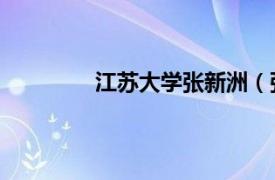 江苏大学张新洲（张建新 江苏大学教授）