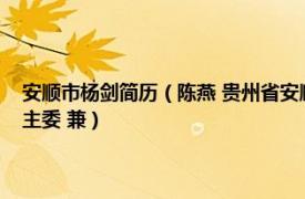 安顺市杨剑简历（陈燕 贵州省安顺市紫云自治县副县长、民盟安顺市委副主委 兼）