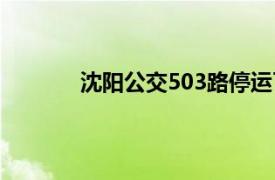 沈阳公交503路停运了吗（沈阳公交503路）