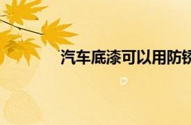 汽车底漆可以用防锈漆代替吗（汽车底漆）