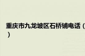 重庆市九龙坡区石桥铺电话（石桥铺 重庆市九龙坡区石桥铺街道）