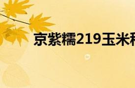 京紫糯219玉米种植视频（京紫糯）