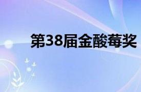 第38届金酸莓奖（第29届金酸莓奖）