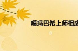 噶玛巴希上师相应法仪轨（噶玛巴希）