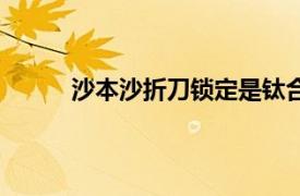 沙本沙折刀锁定是钛合金硬化吗（沙本沙折刀）