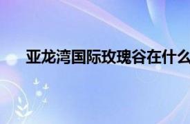 亚龙湾国际玫瑰谷在什么地方?（亚龙湾国际玫瑰谷）