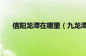 信阳龙潭在哪里（九龙潭 河南省信阳市新县九龙潭）