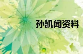 孙凯闻资料（孙凯 藏报人）