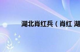 湖北肖红兵（肖红 湖北省政府参事室原参事）