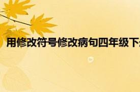 用修改符号修改病句四年级下册的答案（用修改符号修改病句）