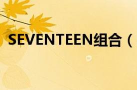 SEVENTEEN组合（Seventeen 韩国组合）