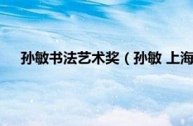 孙敏书法艺术奖（孙敏 上海市航海学会副理事长、书法家）