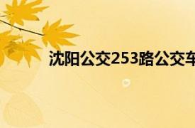 沈阳公交253路公交车路线（沈阳公交253路）