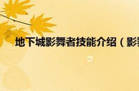 地下城影舞者技能介绍（影舞者 《龙与地下城》中的职业）