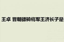 王卓 晋朝骠骑将军王济长子是谁（王卓 晋朝骠骑将军王济长子）