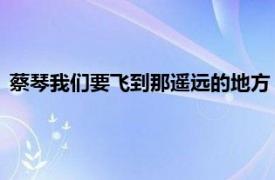 蔡琴我们要飞到那遥远的地方（在那遥远的地方 蔡琴演唱歌曲）