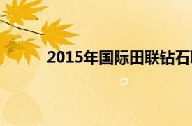 2015年国际田联钻石联赛上海站男子跳远决赛