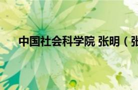 中国社会科学院 张明（张晓 中国社会科学院研究员）