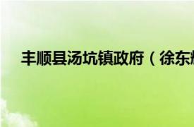 丰顺县汤坑镇政府（徐东辉 广东丰顺县汤坑镇副镇长）