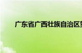 广东省广西壮族自治区贺州市钟山县的会馆古建筑