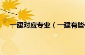 一建对应专业（一建有些什么专业相关内容简介介绍）