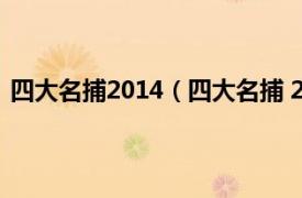 四大名捕2014（四大名捕 2015年《四大名捕》同名端游）