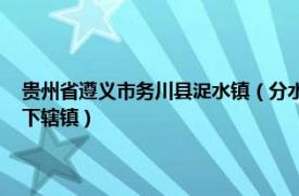 贵州省遵义市务川县浞水镇（分水镇 贵州省遵义市务川仡佬族苗族自治县下辖镇）