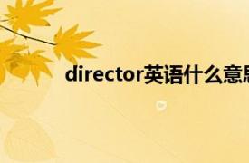 director英语什么意思（Director 英文单词）