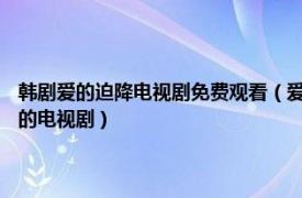 韩剧爱的迫降电视剧免费观看（爱的迫降 韩国2019年玄彬、孙艺珍等主演的电视剧）