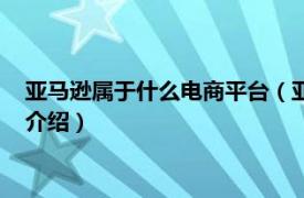 亚马逊属于什么电商平台（亚马逊是什么电商平台相关内容简介介绍）