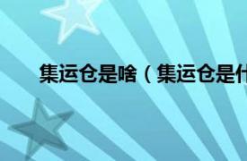 集运仓是啥（集运仓是什么意思相关内容简介介绍）